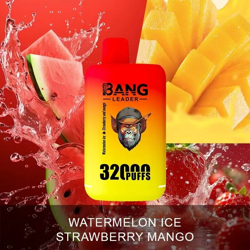 Watermelon Ice & Strawberry Mango Bang Leader 32k