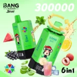 Bang Leader 300000 - Aloe Lychee Ice&Pink Lemon&Glacier Ice&Pine Needle Mint&Black Currant Ice&Watermelon Lemon