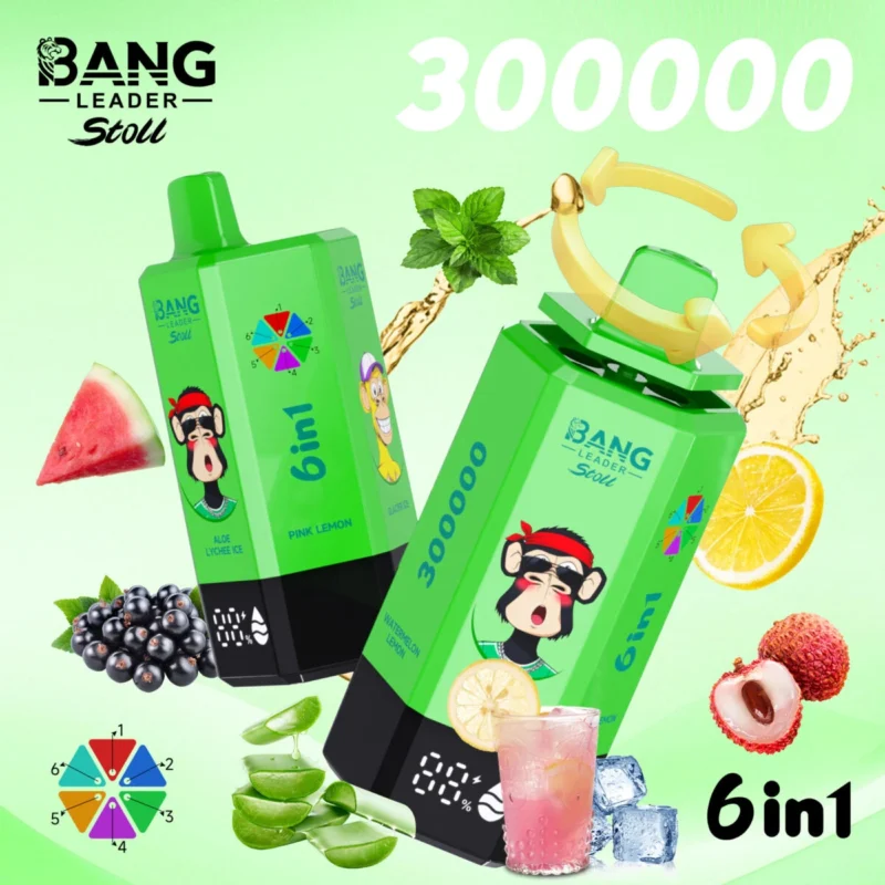 Bang Leader 300000 - Aloe Lychee Ice&Pink Lemon&Glacier Ice&Pine Needle Mint&Black Currant Ice&Watermelon Lemon
