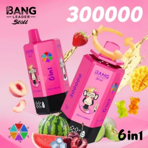 Bang Leader 300000 - Peach Berry&Triple Melon&Grape Ice&Black Dragon Ice&Fizy Cherry Ice&Gummy Bear