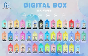 Fumot RandM Digital Box 12000 flavors
