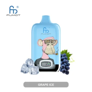 Fumot RandM Digital Box - Grape Ice #1