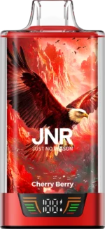 JNR Falcon Pro 28000 - Cherry Berry