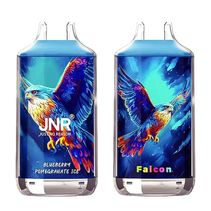 JNR Falon 16000 Puffs Vape usa e getta #1