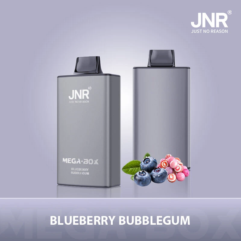 JNR Mega box 25000 - BLUEBERRY-BUBBLEGUM JNR Mega box 25000 - MYRTILLE-GOMME À MÂCHER