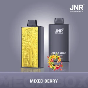 JNR Mega box 25000 - MÉLANGE DE BAIES