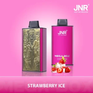 JNR Mega box 25000 - FRAISE-GLACE