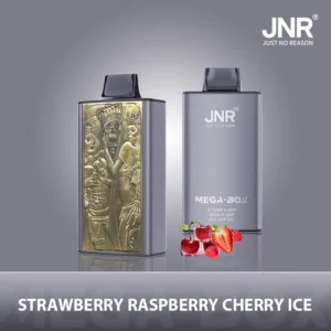 JNR Mega box 25000 - FRAISE-FRAMBOISE-CERISE-GLACE