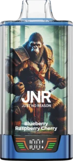 JNR Rage Grilla 55000 - Blueberry Raspberry Cherry (2)