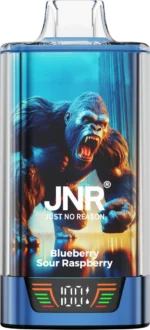 JNR Rage Grilla 55000 - Blueberry Sour Raspberry (2)