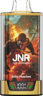 JNR Rage Grilla 55000 - Soczyste brzoskwinie