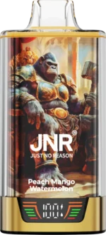 JNR Rage Grilla 55000 - Brzoskwinia Mango Arbuz