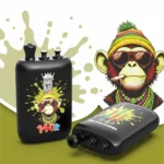 Puff 140k Bang Blaze 140000 - Fragola kiwi&Anguria Bubblegum&Mirtillo ciliegia (2)