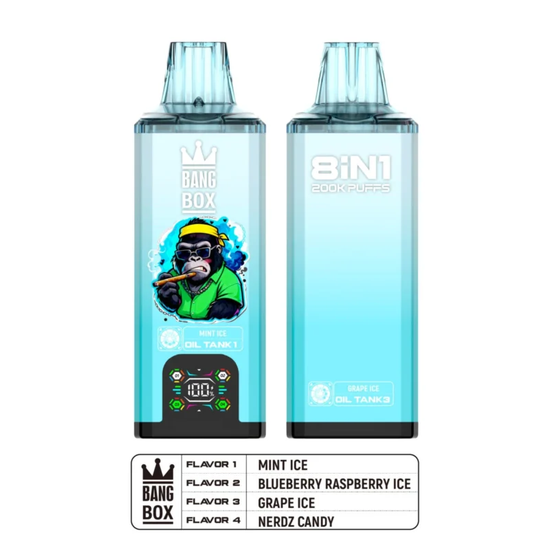 Puff 200k Bang Box 200k – Minze-Eis + Blaubeere-Himbeere-Eis + Traube-Eis + Nerdz Candy (2)