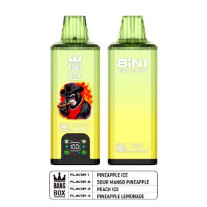 Puff 200k Bang Box 200k – Ananas-Eis + Saure Mango-Ananas + Pfirsich-Eis + Ananas-Limonade (2)