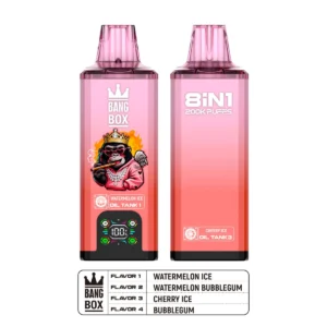 Puff 200k Bang Box 200k - Watermeloenijs + Watermeloenbubbelgom + Kersenijs + Bubbelgom (2)