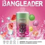 Puff 20k Bang Leader 20000-watermeloen-bubbelgom-.jpg