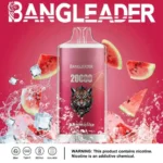 Puff 20k Bang Leader 20000-watermelon-ice-.jpg