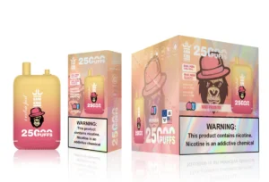 Puff 25k Bang King 25000 Züge – Saftiger Pfirsich-Eis