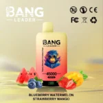 Puff 45k Bang Leader 45000-myrtille-pastèque-fraise-mangue.jpg