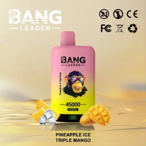 Puff 45k Bang Leader 45000-ananas-ghiaccio-triplo-mango.jpg
