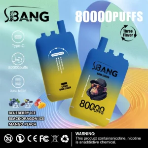 Puff 80k Bang Leader 80000-bosbes-ijs-zwarte-draak-ijs-mango-perzik.jpg
