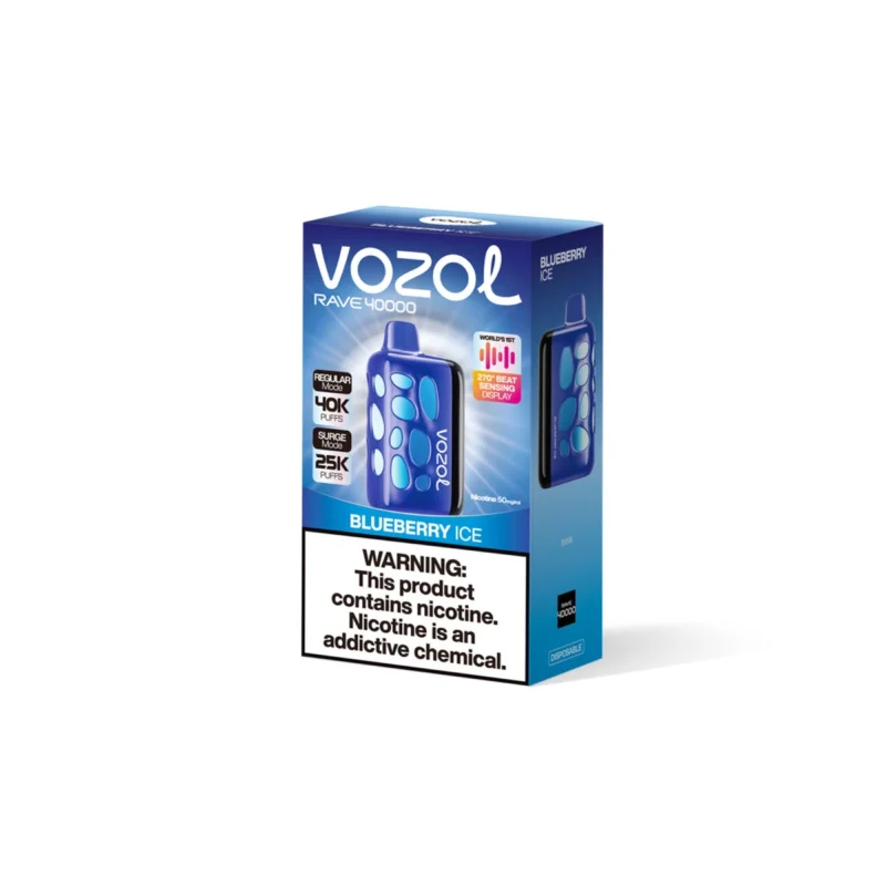 VOZOL RAVE 40000 – Blaubeereis #1