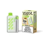 VOZOL Vista 40000 – MELON GUM