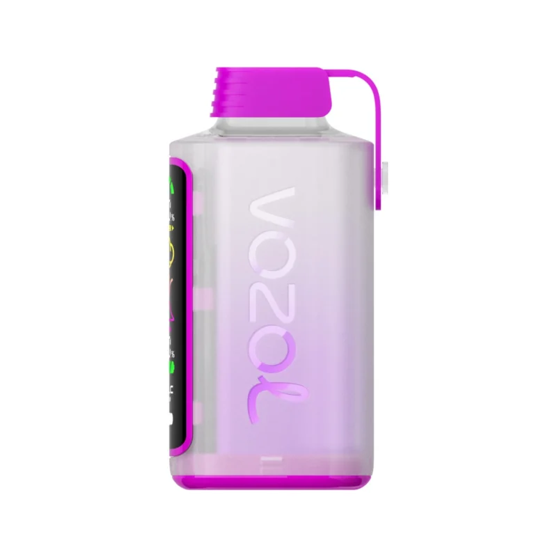 Vozol Gear Power 20000 - Raspberry Watermelon