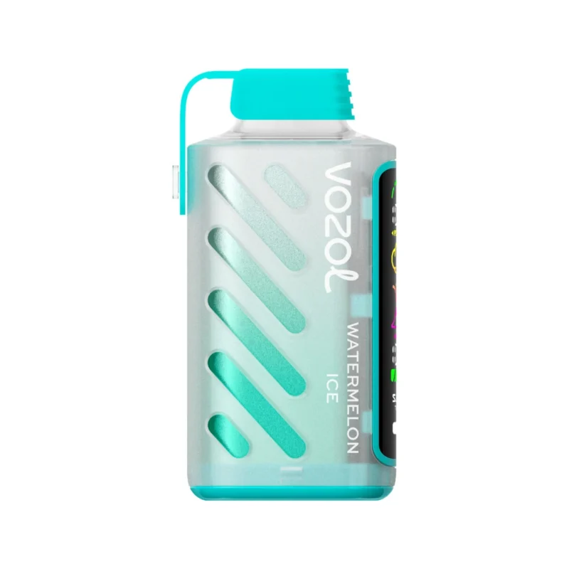 Vozol Gear Power 20000 - Anguria ghiacciata