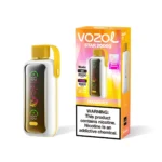Vozol Star 20000 - Mango Ice
