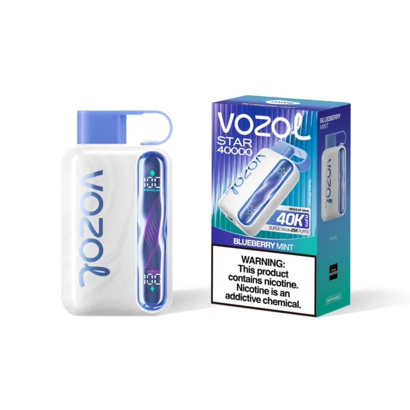 Vozol Star 40000 - Vozol Star 40000 - Blueberry Mint