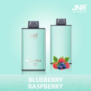 JNR Mega box 25000 - BLUEBERRY-RASPBERRY