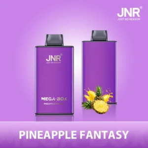 JNR Mega box 25000 - PINEAPPLE-FANTASY