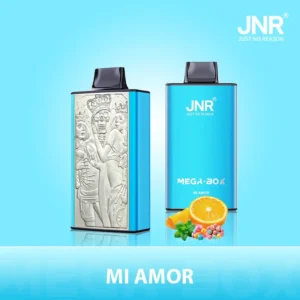JNR Mega box 25000 - mi-amor