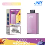 JNR Mega box 25000 - summer peaches