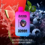 Puff 32k Bang Leader 32K Vape - Watermelon Ice & Blueberry Mint