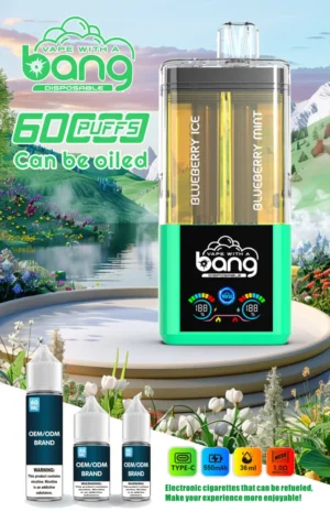 パフ 60K バング 60000 リフィラブル・ヴェイプ - ブルーベリー・アイス & ブルーベリー・ミント