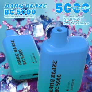 puff 5k Bang Blaze BC5000 E-sigaret Vape - Bosbes Ijs