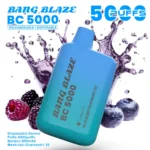 puff 5k Bang Blaze BC5000 E-sigaret Vape - Bosbes Framboos Ijs
