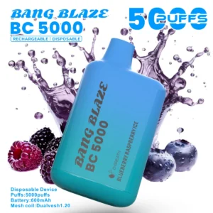 puff 5k Bang Blaze BC5000 E-sigaret Vape - Bosbes Framboos Ijs