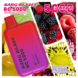 puff 5k Bang Blaze BC5000 E-sigaret Vape - Gemengd Fruit