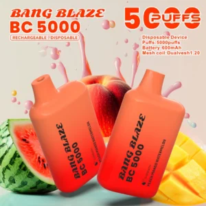puff 5k Bang Blaze BC5000 E-sigaret Vape - Perzik Mango Watermeloen