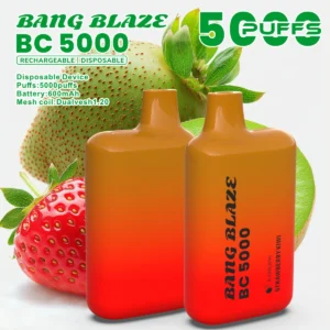 puff 5k Bang Blaze BC5000 E-sigaret Vape - Aardbei Kiwi