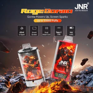 JNR Rage Grilla 55000 55K Puffs Einweg Vape Smart Bildschirm Großhandel