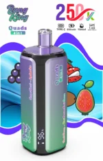 Puff 250k Bang König 250000 Puffs Einweg Vape 4 in 1 Aromen 2026 neue Vape (3)