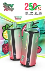 Puff 250k Bang König 250000 Puffs Einweg Vape 4 in 1 Aromen 2026 neue Vape (6)