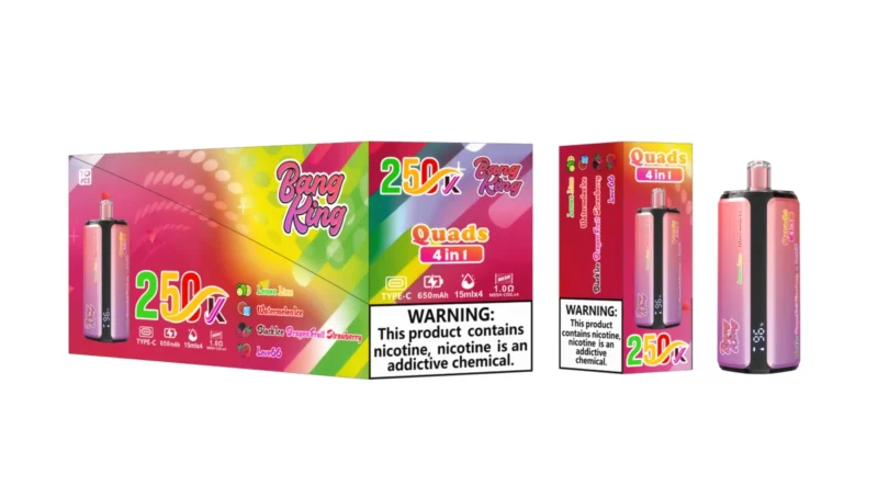 Puff 250k Bang king 250000 Puffs Disposable Vape 4 in 1 Flavors 2026 New Vape - Lemon Lime Watermelon Ice Black Ice Dragon Fruit Strawberry Love66