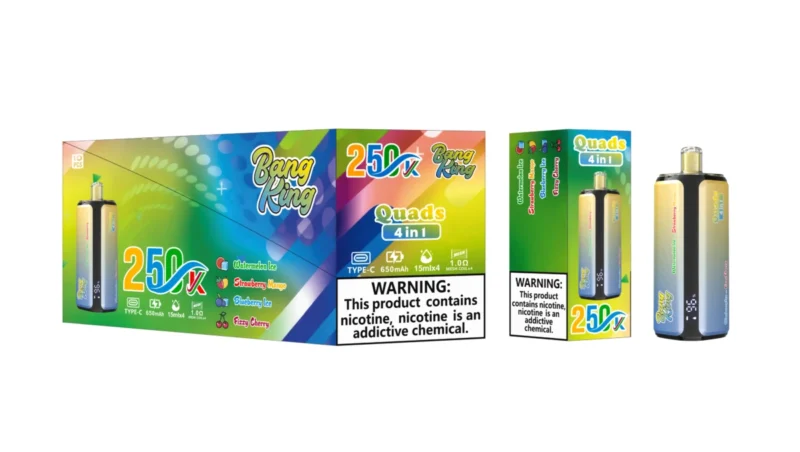Puff 250k Bang König 250000 Puffs Disposable Vape 4 in 1 Flavors 2026 New Vape - Wassermelone Eis Erdbeere Mango Heidelbeere Eis Fizy Kirsche