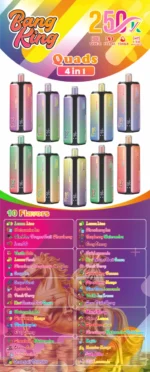 Puff 250k Bang king 250000 Puffs Disposable Vape 4 in 1 Aromen 2026 Neue Vape Aromen Liste